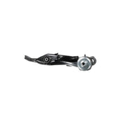 Delphi Control/Trailing Arm Front TC5536