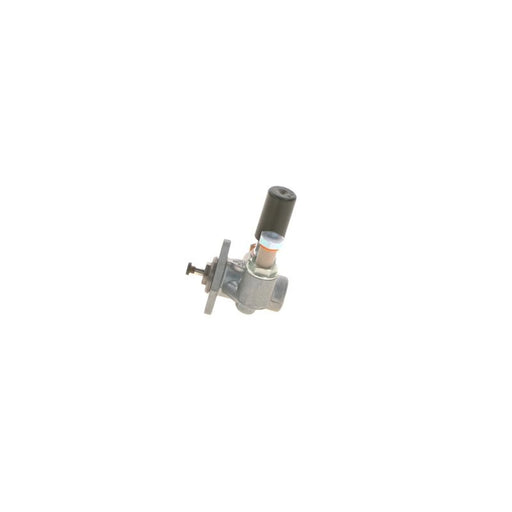 Bosch Fuel Pump Assembly 0 440 017 051