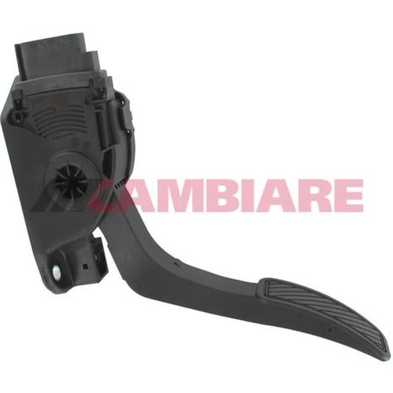 Cambiare Accelerator Pedal Position Sensor VE378053