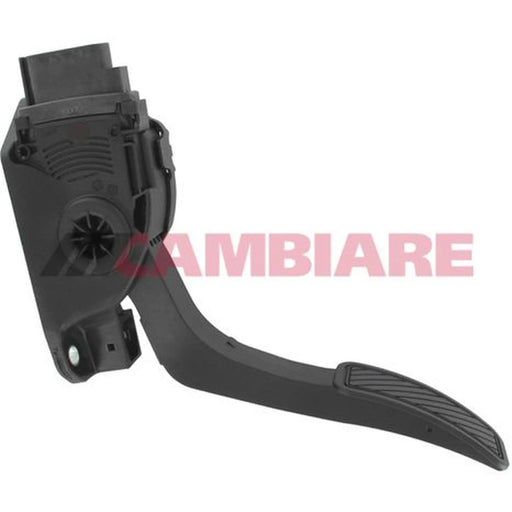 Cambiare Accelerator Pedal Position Sensor VE378053