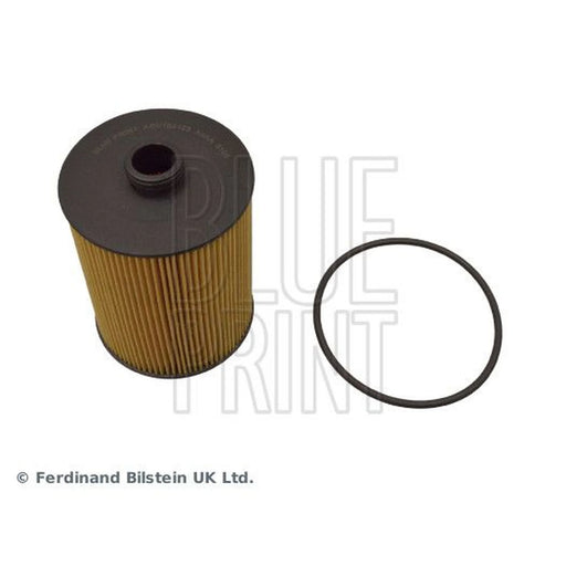 Blue Print Engine Oil Filter ADV182123