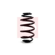 Apec Rear Suspension Coil Spring ACS1144