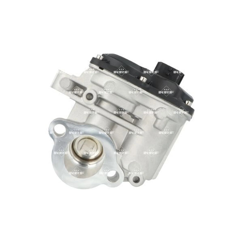 NRF Exhaust Gas Recirculation Valve 48740
