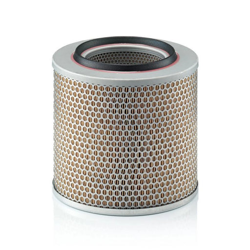 MANN-FILTER Engine Air Filter C 24 355