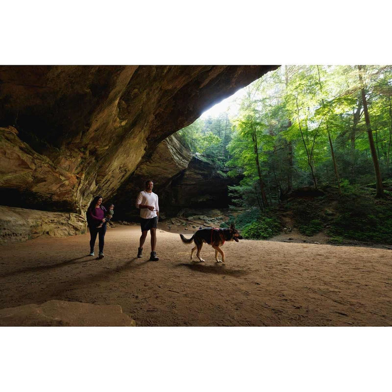 Ruffwear Front Range Dog Harness in Red Canyon (Medium) - Ruffwear - Van Life Living