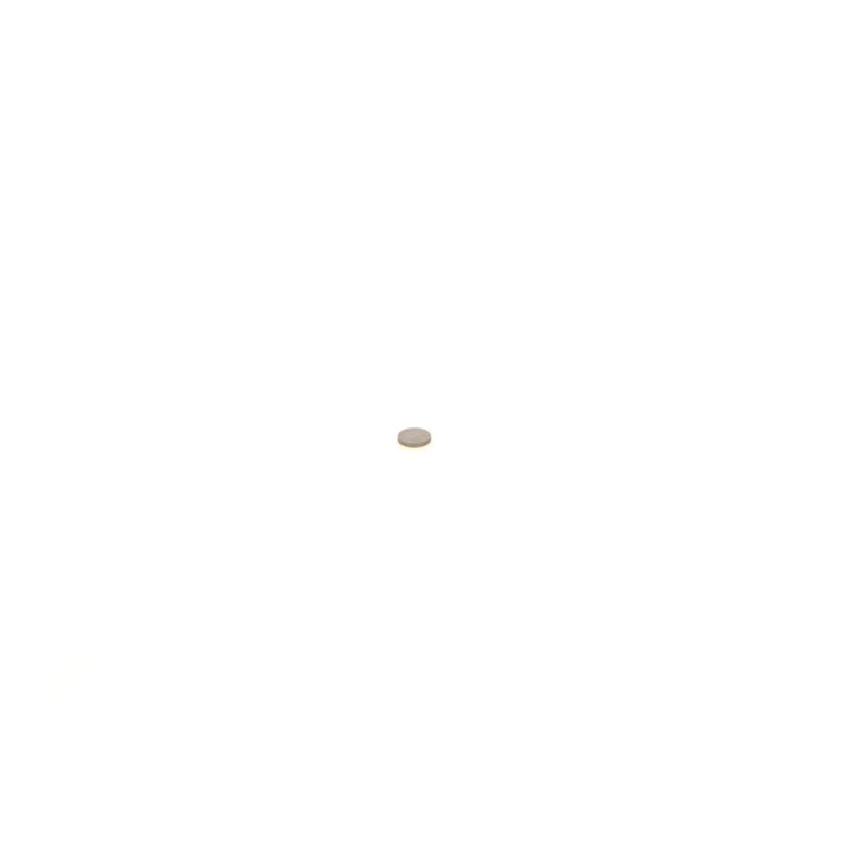 Bosch Flat Washer Shim ID OD 1 410 067 147