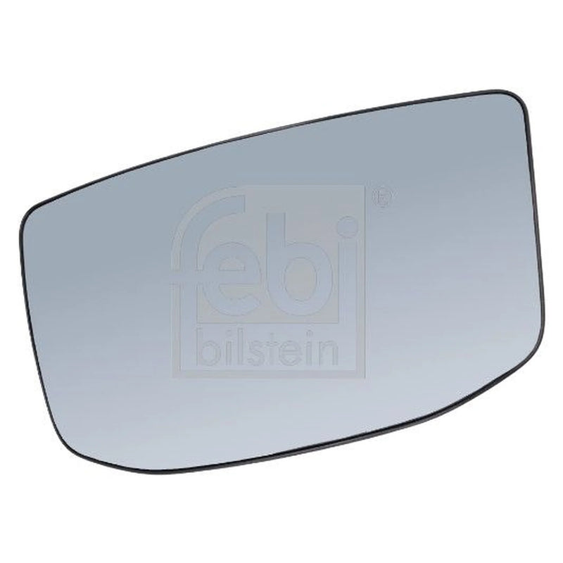 Febi Ramp Mirror Mirror Glass both sides ABS (Acrylonitrile-Butad 196338