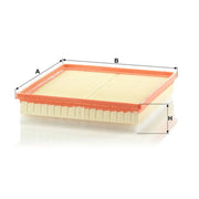 MANN-FILTER Engine Air Filter C 30 163