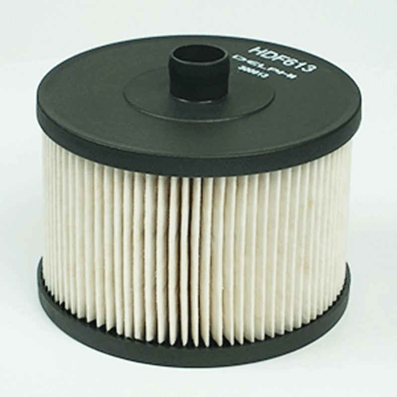 Delphi Fuel Filter Element HDF613