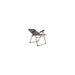 Vango Hampton Tall Chair Tall Excalibur Chair - Vango - Van Life Living