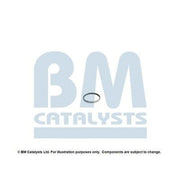 BM Catalysts Fitting Kit FK15068A FK15068A