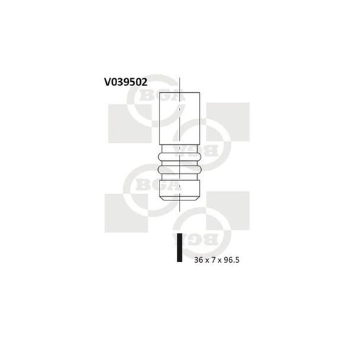 BGA Engine Intake Valve 36mm Head V039502