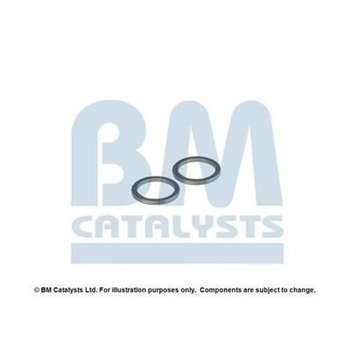BM Catalysts Fitting Kit FK90520A FK90520A