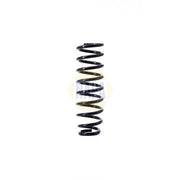 NAPA Rear Suspension Coil Spring NCS1396