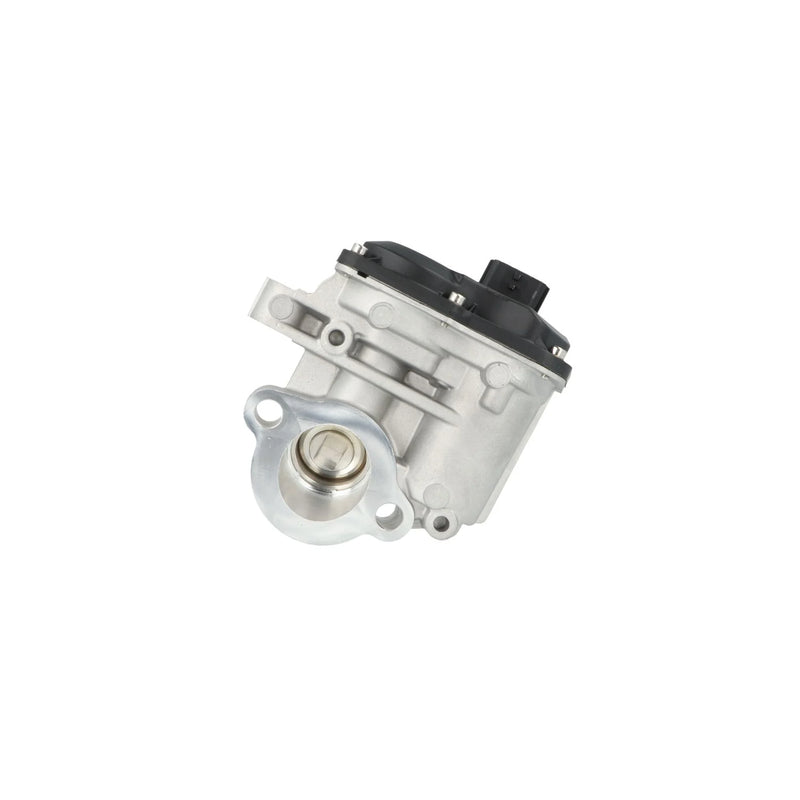 NRF Exhaust Gas Recirculation Valve 48740