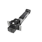 Delphi Engine Mount Mounting Rear TEM243