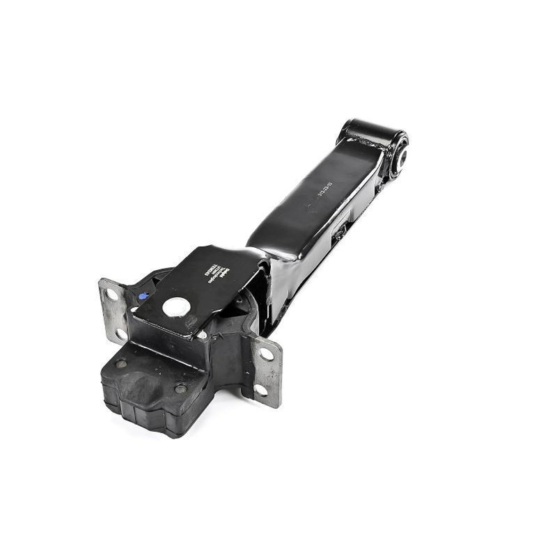 Delphi Engine Mount Mounting Rear TEM243