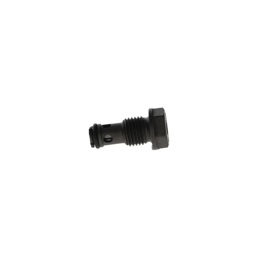 Bosch Fuel Injection Control Valve F 00N 203 165