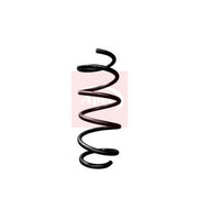 Apec Front Right Suspension Coil Spring ACS1985