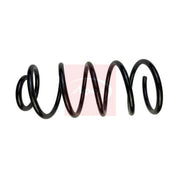 Apec Front Suspension Coil Spring ACS1756