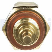 Delphi Coolant Temperature Sensor TS10289