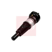 Apec Air Suspension Strut Shock AAS1119