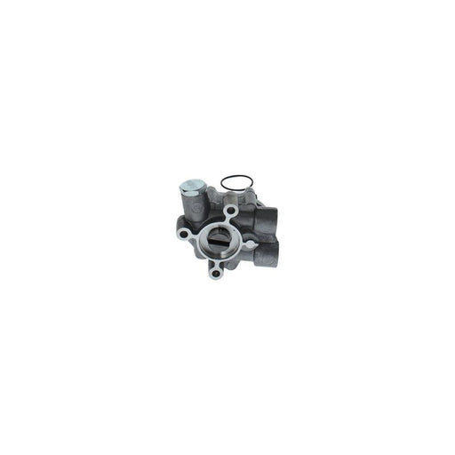 Bosch Fuel Pump Assembly 3 576 671 113