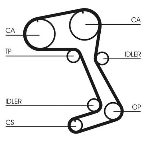 Continental CTAM Timing Belt Cambelt 167 Teeth CT831