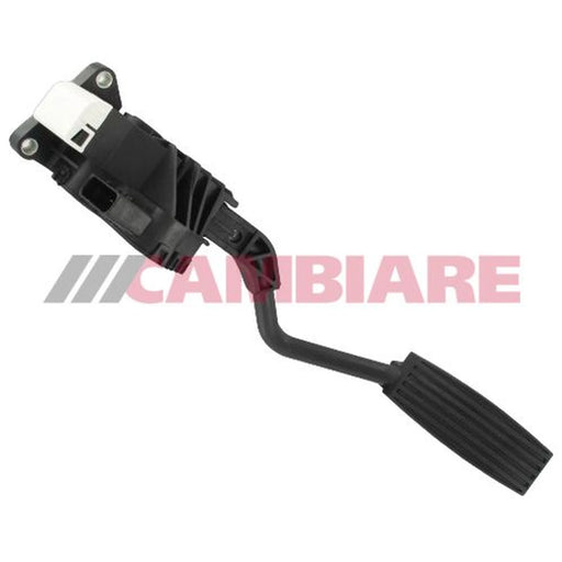 Cambiare Accelerator Pedal Position Sensor VE378051