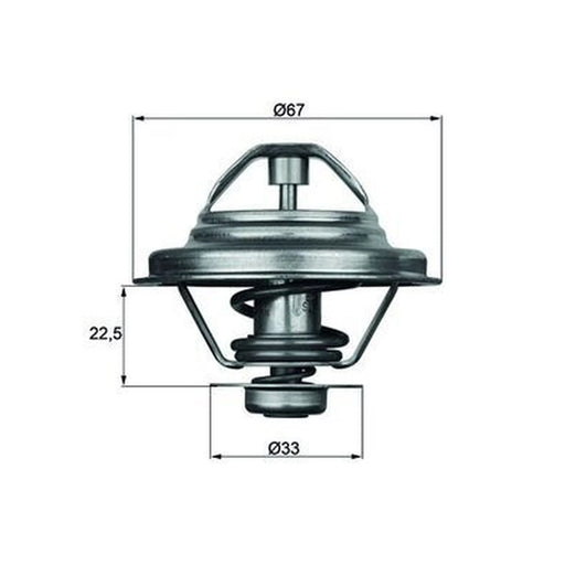 Mahle Thermostat,Coolant TX 24 80D