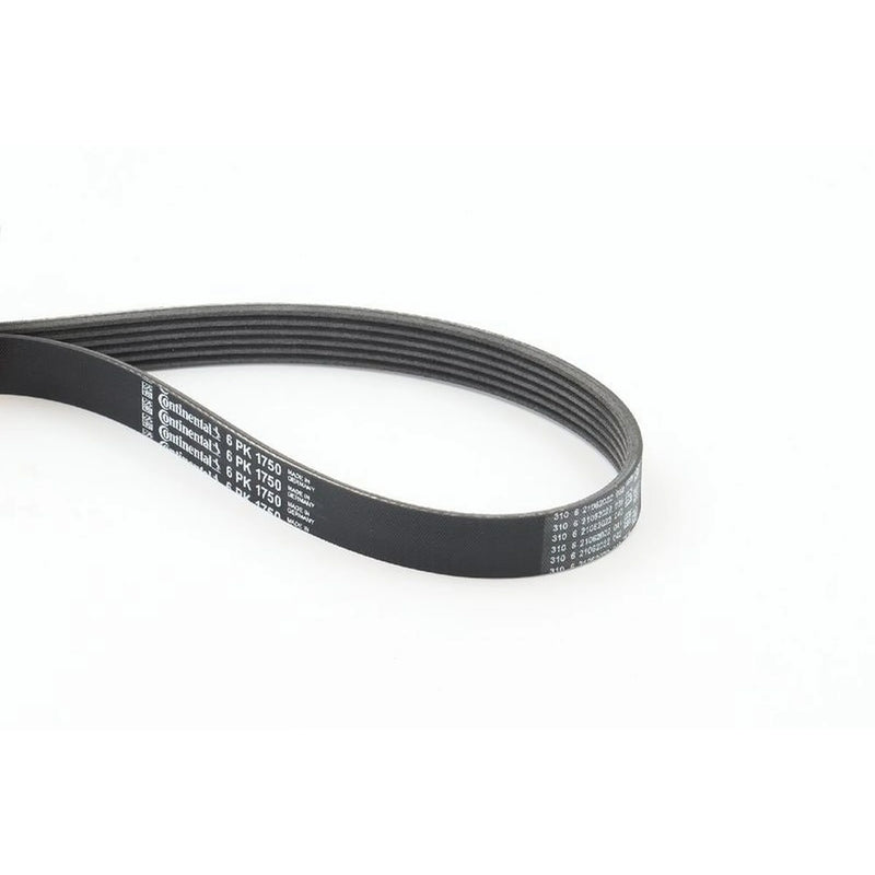 Continental CTAM Multi V-Ribbed Drive Belt 6PK1750
