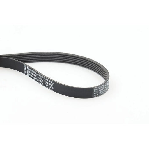 Continental CTAM Multi V-Ribbed Drive Belt 6PK1750