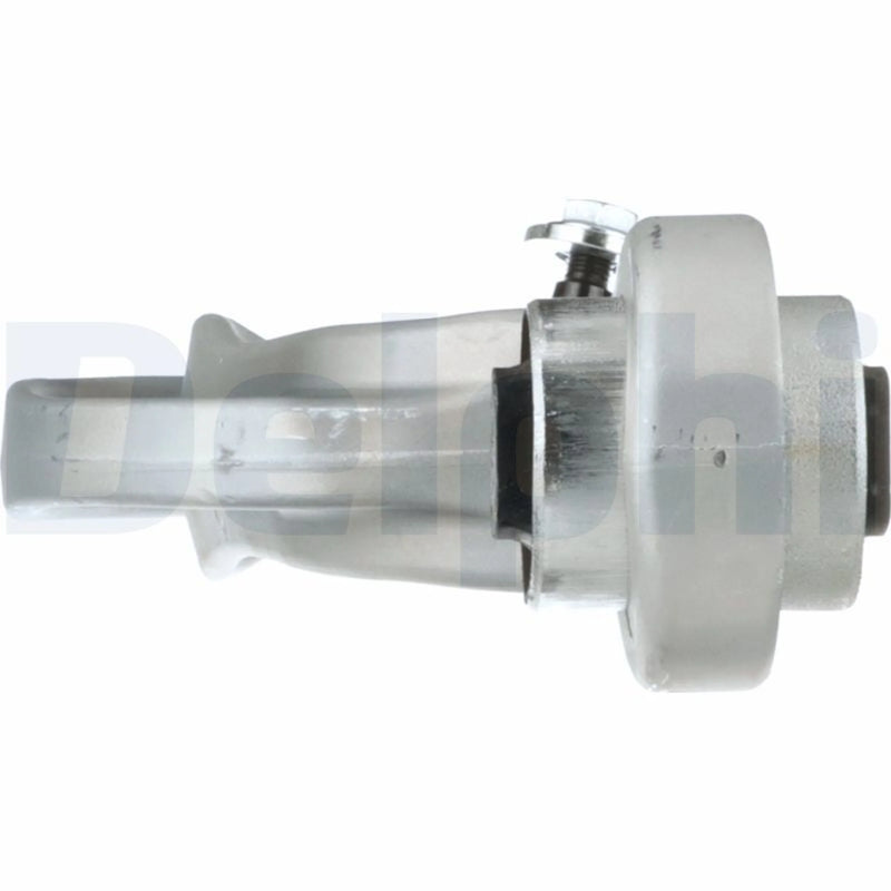 Delphi Control/Trailing Arm Rear TC3658