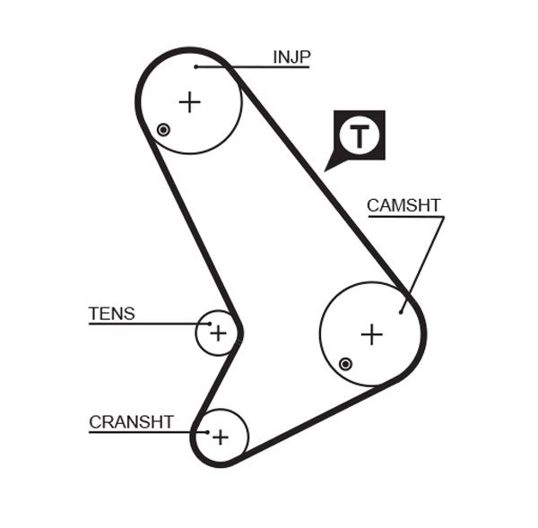 Gates Timing Belt Cambelt Teeth 5572XS