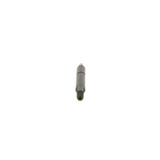 Bosch Bx Common Rail Injector (Hgv) 0 986 430 162