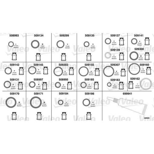 Valeo Receiver Drier O Ring Kit 698929 698929