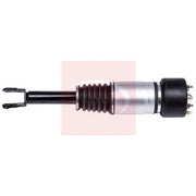 Apec Air Suspension Strut Shock AAS1041