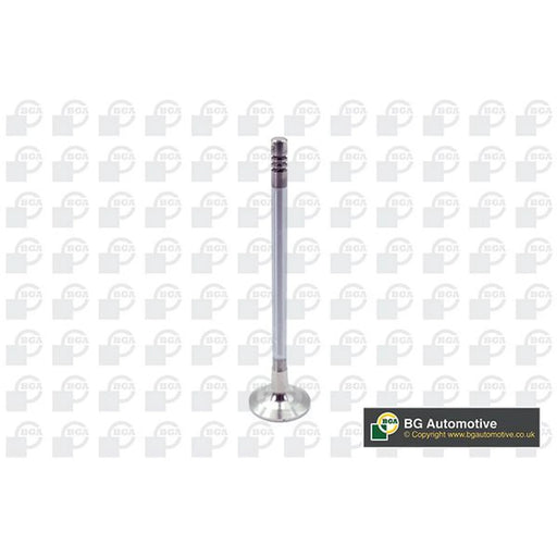 BGA Engine Exhaust Valve 23mm Head V204955