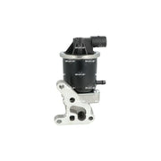 NRF Exhaust Gas Recirculation Valve 48629