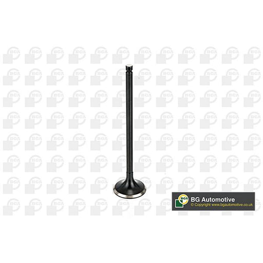 BGA Engine Exhaust Valve 25mm Head V165411