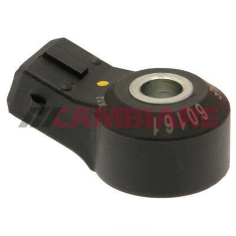 Cambiare Engine Knock Sensor VE369064