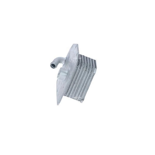 NRF Engine Oil Cooler 31761