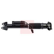 Apec Shock Absorber Damper Strut Rear Right ASA2004