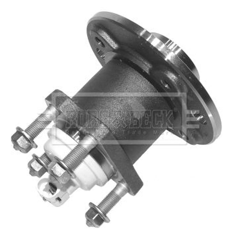 Borg & Beck Wheel Bearing Kit BWK411