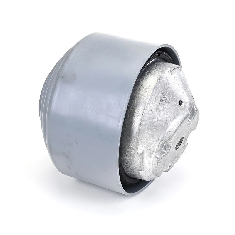 Delphi Engine Mount Mounting Front TEM134
