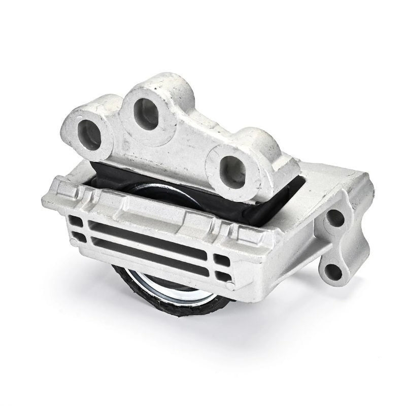 Delphi Engine Mount Mounting Right TEM133