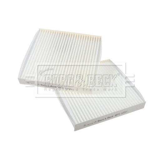Borg & Beck Cabin Air Filter (Pollen Filter) BFC1255
