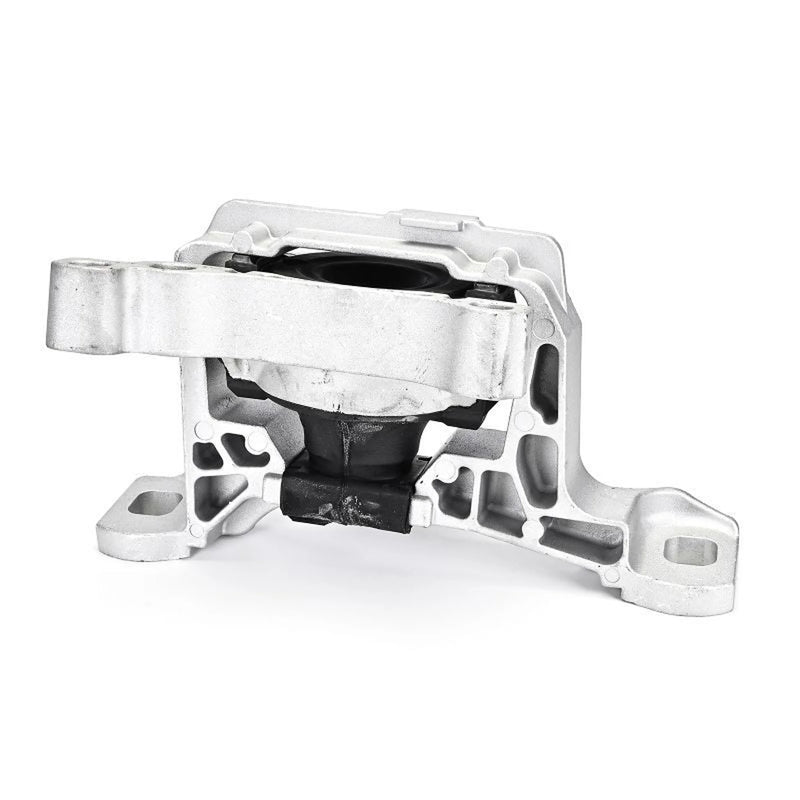 Delphi Engine Mount Mounting Right TEM137