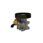 NAPA Power Steering Hydraulic Pump NPS1431