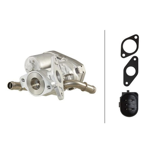 Hella Exhaust Gas Recirculation Valve 6NU 010 171-271